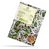 BIO Alfalfa Sprossen Samen 50g - Microgreens Saatgut ideal für die Anzucht von knackigen...