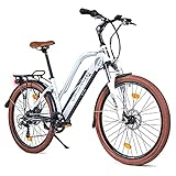 BLUEWHEEL 26' innovatives Damen E-Bike IDeutsche Qualitätsmarke I EU konform Top City Ebike +...
