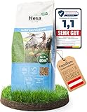 Hesa Gebrauchsrasen 1 kg für 40 m², RSM 2.3, schnellkeimende Premium Rasensamen Sport- und...