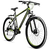 Bergsteiger Canberra 26, 29 Zoll Mountainbike, Aluminium Rahmen, Scheibenbremsen, Hardtail MTB mit...
