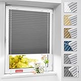 BelleMax Plissee ohne Bohren Verdunkelung, Thermo Plisseerollo Klemmfix, Grau 60x100cm(BxH),...