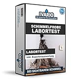 Schimmel-Test für Oberflächen in der Wohnung, Fenster & Wände, detaillierte Schimmelpilz- Analyse...
