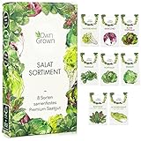 Salat Samen: 8 Sorten Salat Saatgut Set für Garten und Balkon – Kopfsalat Samen, Blattsenf,...