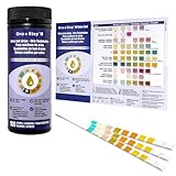 100 x One+Step Urin Teststreifen für 10 Parameter I Mit Farbkarte für genaues hygienisches Ablesen...