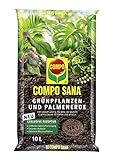 COMPO SANA Grünpflanzenerde und Palmenerde mit 12 Wochen Dünger für alle Zimmerpflanzen,...