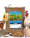 Futterbauer 5kg Soldatenfliegenlarven getrocknet, Premium Vogelfutter, Fischfutter, Futter für...