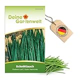 Schnittlauch Medium Leaf Samen - Allium schoenoprasum - Schnittlauchsamen - Kräutersamen - Saatgut...