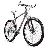 Bergsteiger Detroit 29 Zoll Mountainbike, geeignet ab 170 cm, Scheibenbremse, Shimano 21...