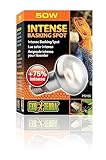 Exo Terra Intense Basking Spot, Wärmespotlampe, Gelb, R20, 50W, Fassung E27, 1 Stück (1er Pack)