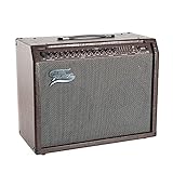 Fame AE-60 Akustik-Verstärker mit 60 Watt Leistung, 2 Kanäle für Gitarre und Gesang, Chorus,...