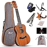 Winzz Ukulele Erwachsene Konzert, Ukulele Kinder 23 Zoll, Ukulele Anfänger Set mit Ukuleleständer...