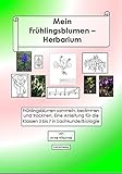 Mein Herbarium der Frühlingsblumen: Frühlingsblumen sammeln, bestimmen und trocknen. Ein Anleitung...