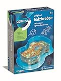 Clementoni Galileo Lab Original Salzkrebse - Züchten & Beobachten von Urzeitkrebsen für kleine...