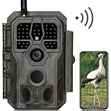 GardePro E8 Wildkamera WLAN mit App 64MP H.264 1296P Video, 27m Infrarot Nachtsicht Bewegungsmelder...