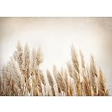 Runa Art Fototapete Boho Pampasgras 352 x 250 cm Vlies Tapeten XXL Moderne Wandtapete Wohnzimmer...
