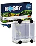 HOBBY Aquaristik Nido 3.1 I 16 x 16 x 14 cm I Netz-Ablaichbehälter zum Separieren von trächtigen...