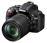 Nikon D5200 SLR-Digitalkamera (24,1 Megapixel, 7,6 cm (3 Zoll) TFT-Display, Full HD, HDMI) Kit inkl....