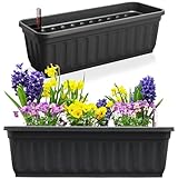 Hausfelder Blumenkasten 2er Set mit Wasserspeicher und Wasserstandsanzeige, Pflanzkasten und...