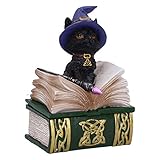Nemesis Now Binx Small Witches Familiar Black Cat and Spellbook Figurine Box, Grün, 11 cm