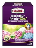 Substral Bodenkur Rhodo-Vital für Rhododendren, Azaleen, Hortensien, Himbeeren, Preiselbeeren,...