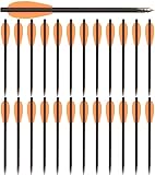 WANVZMR 6,3' Carbon Armbrust Bolzen Pfeile mit Stahlspitzen Jagdpfeile für 50-80lbs...
