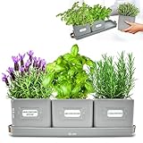 Green Thumbz 3 STK. Kräutertopf - Kräutertöpfe für Deinen Kräutergarten und Fensterbank Innen...