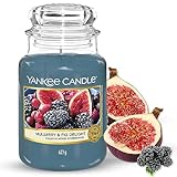 Yankee Candle Duftkerze im Glas (groß) – Mulberry & Fig Delight – Kerze mit langer Brenndauer...