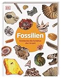 Fossilien: Entdecke die Schätze der Urzeit