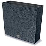 Prosperplast Blumenkasten mit Einsatz | aus robustem Kunststoff | Anthrazit | wetterfest und...