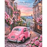 JATOK Malen Nach Zahlen Erwachsene, Paint by Numbers Malen Nach Zahlen, DIY Auto mit Pinseln und...