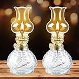 Petroleumlampe Outdoor Öllampe: 2 Stück Öllampen aus Glas, Petroliumöllampe Transparente...
