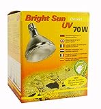 Lucky Reptile Bright Sun UV Desert - 70 W Metalldampflampe für E27 Fassungen - Terrarium Lampe mit...