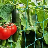 Premium Ranknetz mit großer Maschenweite für besonders ertragreiche Ernte von Gurken, Tomaten und...