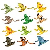 BESPORTBLE 12Stücke Gummifrosch Modell Pädagogisches Angst Linderung Für Stressabbau Für...