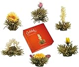 Creano Teeblumen Mix – „ErblühTee“ in edler Geschenkbox zum Probieren | Weißtee (6...