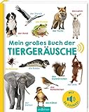 Mein großes Buch der Tiergeräusche: Mit 50 Sounds | Hochwertiges Soundbuch mit realistischen...