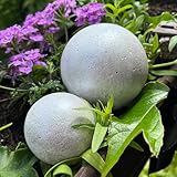 ZGM Beton Dekokugeln, 2er Set - stilvolle Dekoration für Garten und Haus