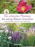 Die schönsten Pflanzen, die wenig Wasser brauchen für Garten, Balkon und Terrasse - 66...