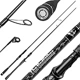 LMAB The Rodfather Spinning & Casting Angelrute für Zander, Barsch & Hecht, Spinnrute, Baitcaster...