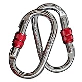 Karabinerhaken Groß, 2 Stück Karabiner zum Klettern, 25 KN Schwerlast Edelstahl Karabiner...