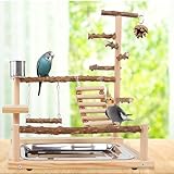 Vögel Spielplatz,Vogelspielplatz Mit Feeder Cups und Tablett,Papageien-Spielständer,Sitzstange Gym...