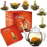 Creano Teeblumen Geschenkset - Erblühtee Frühjahrslese mit 500ml Glaskanne & 6x Weißer Tee - 7...