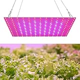 Kavolet LED Grow Light Rot Blau Vollspektrum 81LEDs Pflanzenlampe LED Panel Wachstumslampen für...