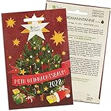 Nordmanntanne zum Pflanzen: Mein Weihnachtsbaum 2028 – Premium Weihnachts Samen für 5x...