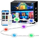 Wisada Permanente Außenbeleuchtung Smart RGBIC Wasserdicht Trauflichter, Bluetooth Außenleuchten...