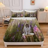Perserkatze Spannbettlaken 100x200cm, Blumen Mikrofaser Bettlaken für Kinder, Spannbetttuch...