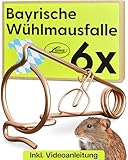Luna® Bayerische Wühlmausfalle 6X Made in Austria - giftfrei - Kein Köder notwendig -...