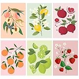 VAIGU:OA Malen nach Zahlen Obst-Set 6-teilig DIY handgemaltes Ölgemälde-Set für Erwachsene und...