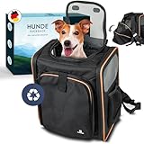 FUNPAK Hunderucksack für kleine Hunde bis 8 kg – erweiterbarer Haustier Rucksack – Tragetasche...