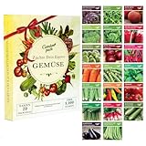 Gemüsesamen Anzuchtset mit 20 Packungen - Garden Pack – Einfaches Starter Saatgut Set mit hohem...